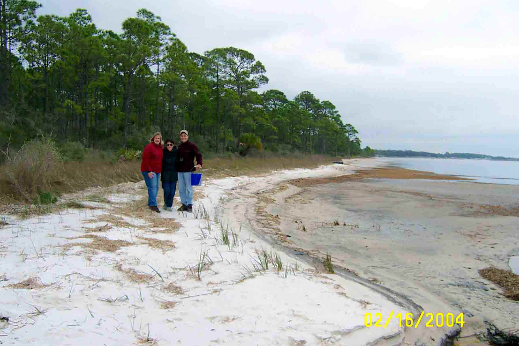 BeachTreasures2004-02-16.jpg (83419 bytes)