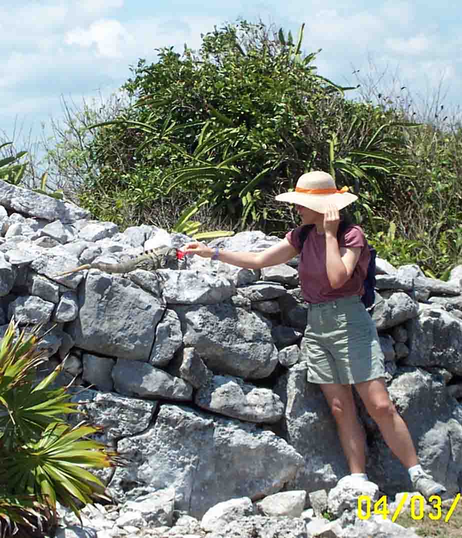 MexTulum5.jpg (97261 bytes)