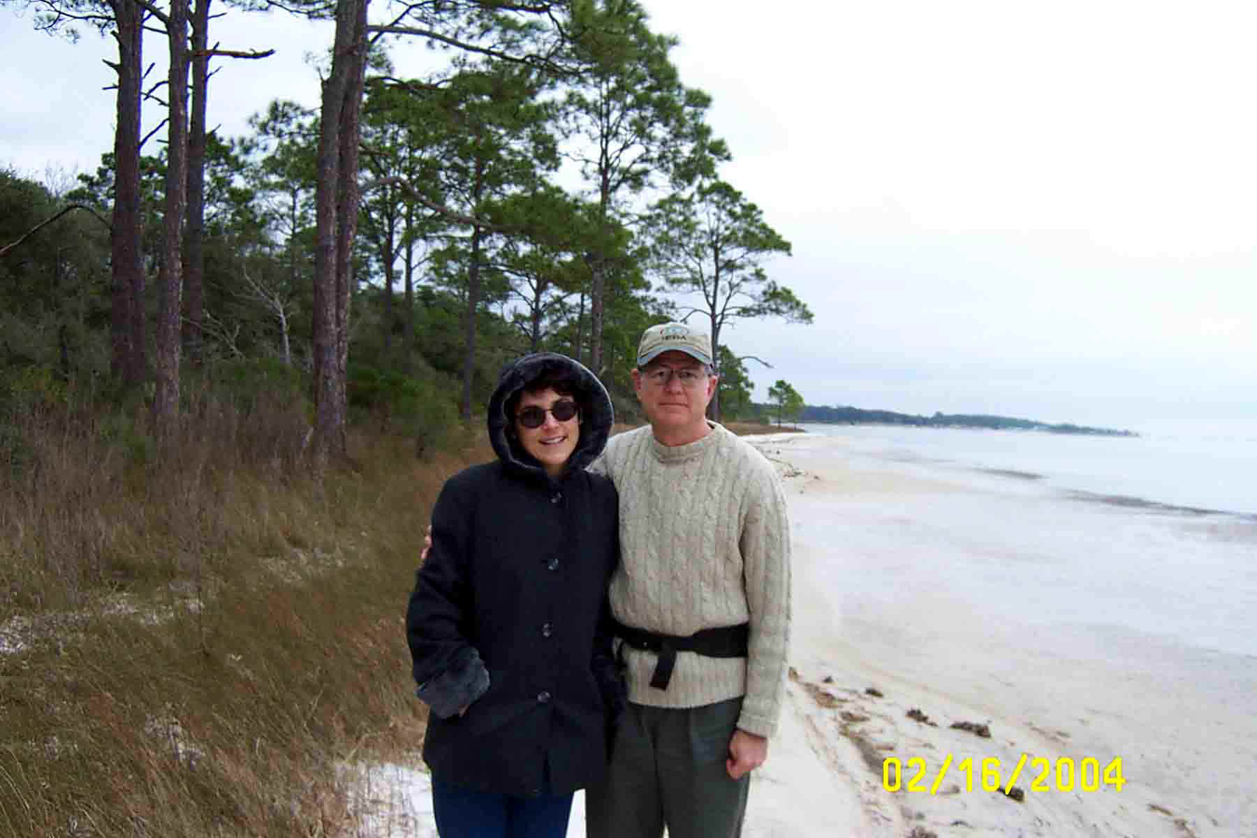 SeashorePines2004-02-16.jpg (80353 bytes)